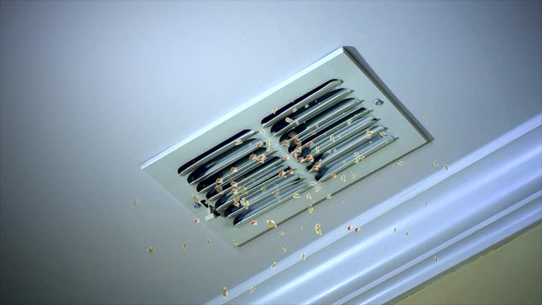 Best Affordable HVAC Duct Cleaning  in Kalispell, MT